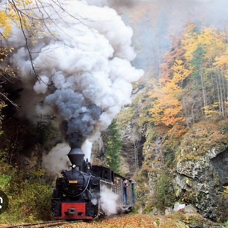 Pensiunea Ok Вишово-Вижнє Екстер'єр фото